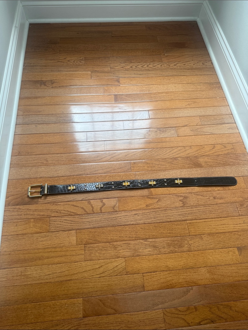 Escada Medallion Belt — Black Leather Womens Belt with Gold Buckle and Studs
